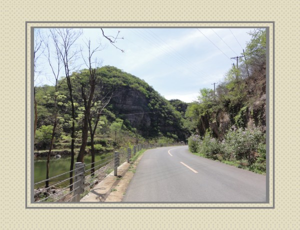 湖在路边还有香春树