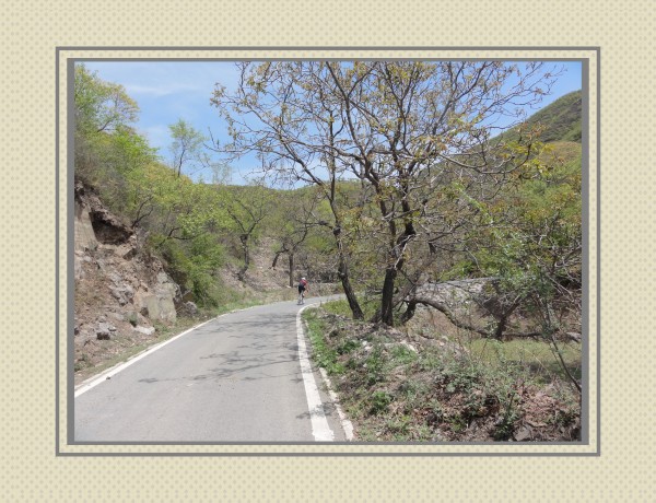 途中闪过的车友