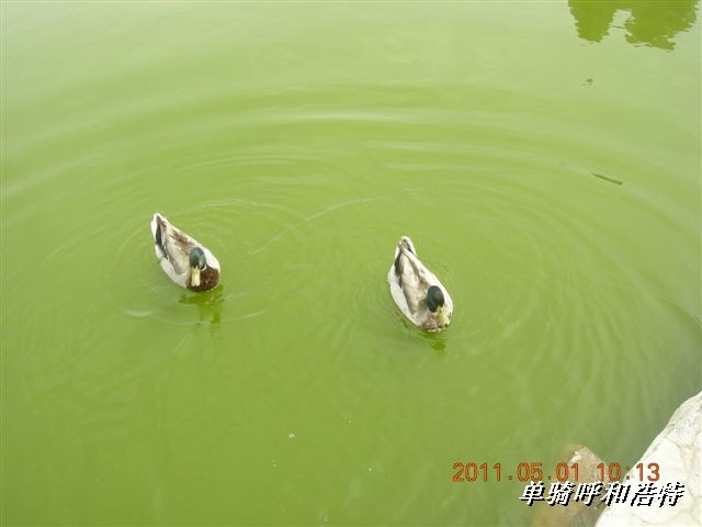 BigBull_骑行呼和浩特 120.jpg