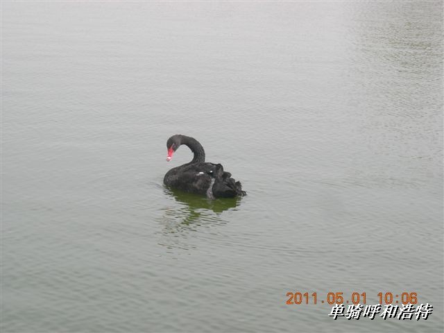 BigBull_骑行呼和浩特 110.jpg