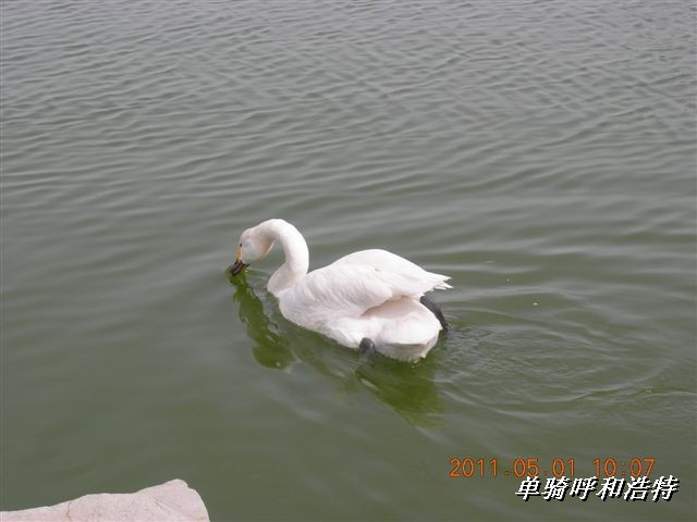 BigBull_骑行呼和浩特 112.jpg