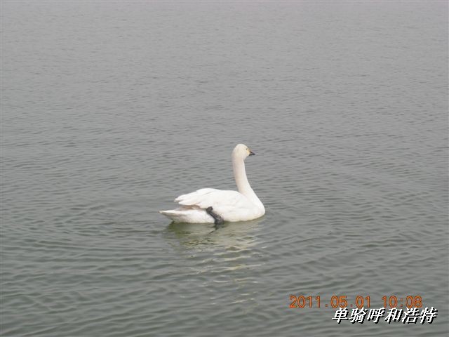 BigBull_骑行呼和浩特 113.jpg