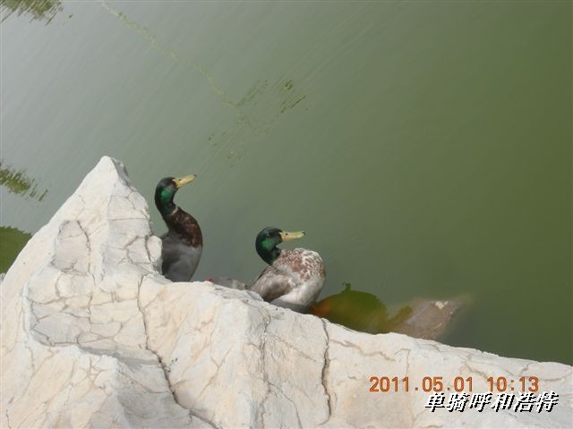 BigBull_骑行呼和浩特 119.jpg