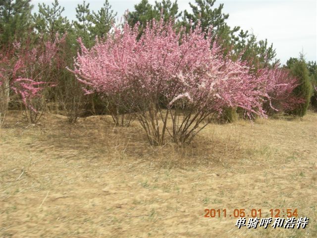 BigBull_骑行呼和浩特 134.jpg