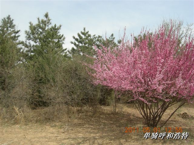 BigBull_骑行呼和浩特 135.jpg