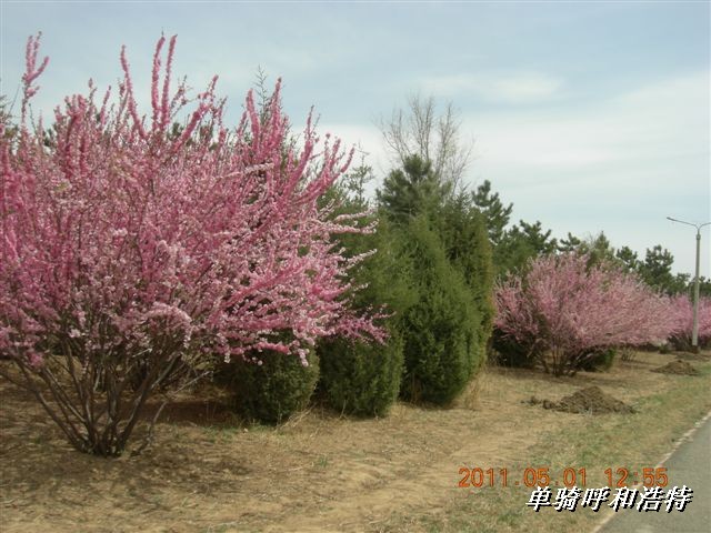 BigBull_骑行呼和浩特 136.jpg