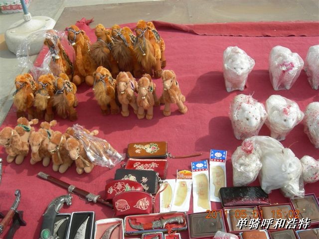 BigBull_骑行呼和浩特 176.jpg