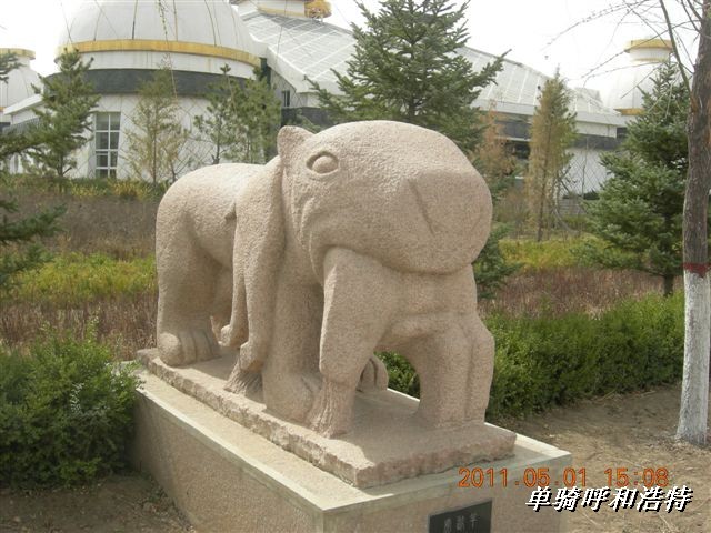 BigBull_骑行呼和浩特 183.jpg