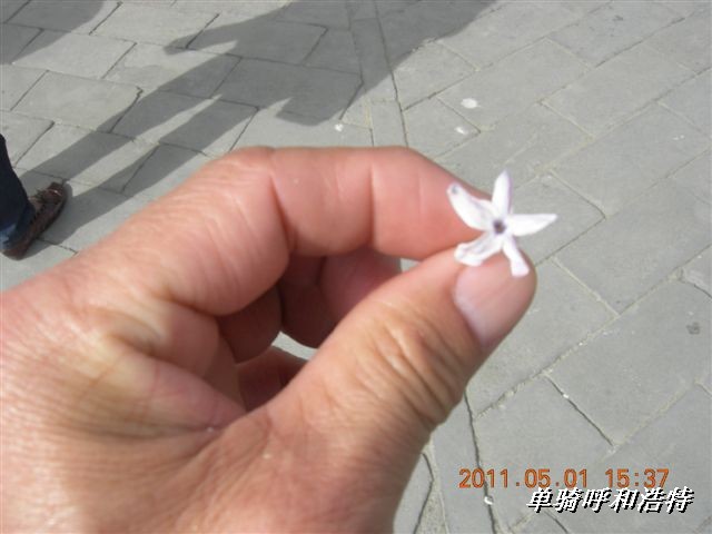 BigBull_骑行呼和浩特 210.jpg