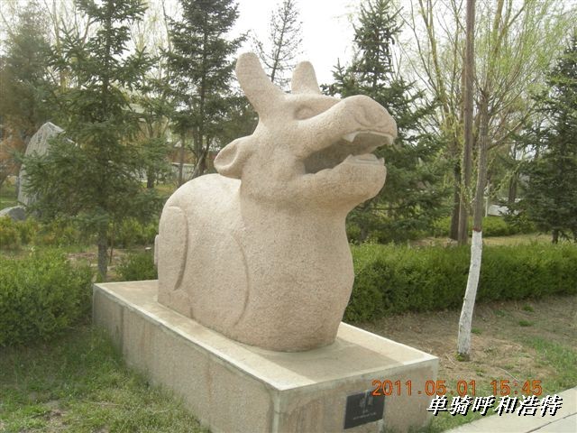 BigBull_骑行呼和浩特 213.jpg