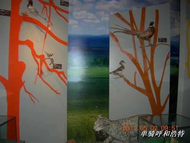 BigBull_骑行呼和浩特 231.jpg