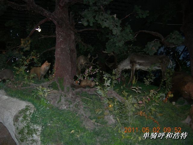 BigBull_骑行呼和浩特 232.jpg