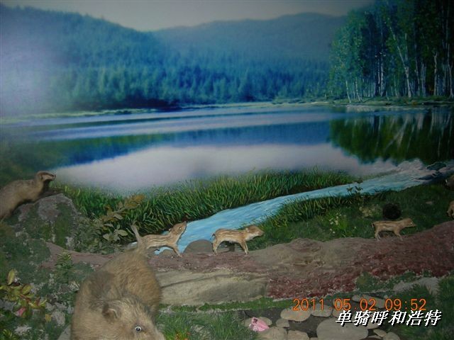 BigBull_骑行呼和浩特 233.jpg