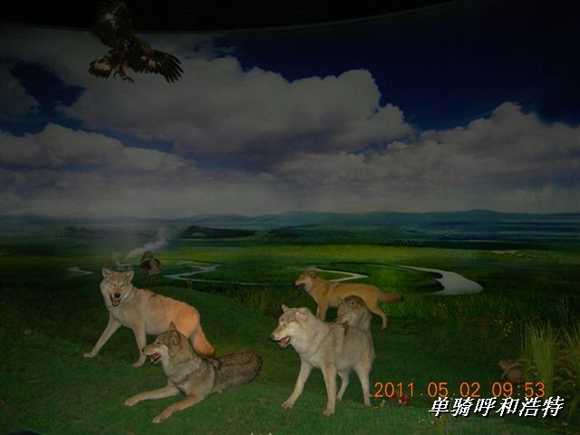 BigBull_骑行呼和浩特 234.jpg