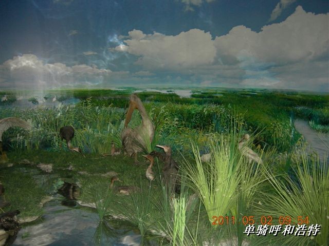 BigBull_骑行呼和浩特 235.jpg