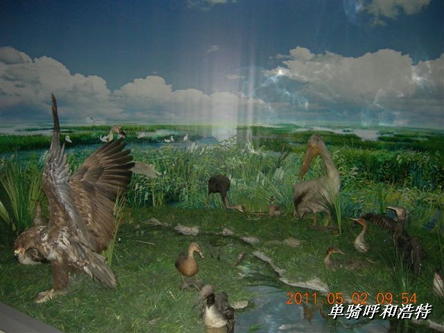 BigBull_骑行呼和浩特 236.jpg