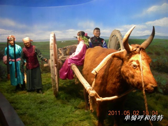 BigBull_骑行呼和浩特 245.jpg