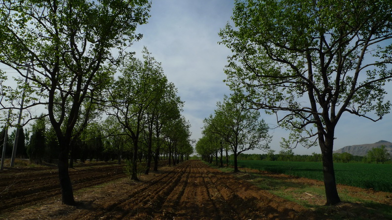 春耕？晚点了。。。