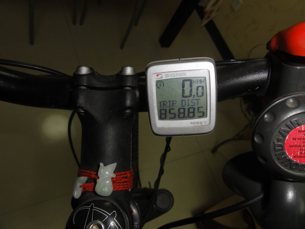 调整大小 DSC02919.JPG