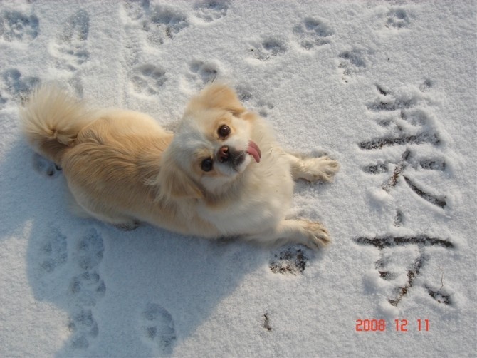 我们家的小美女