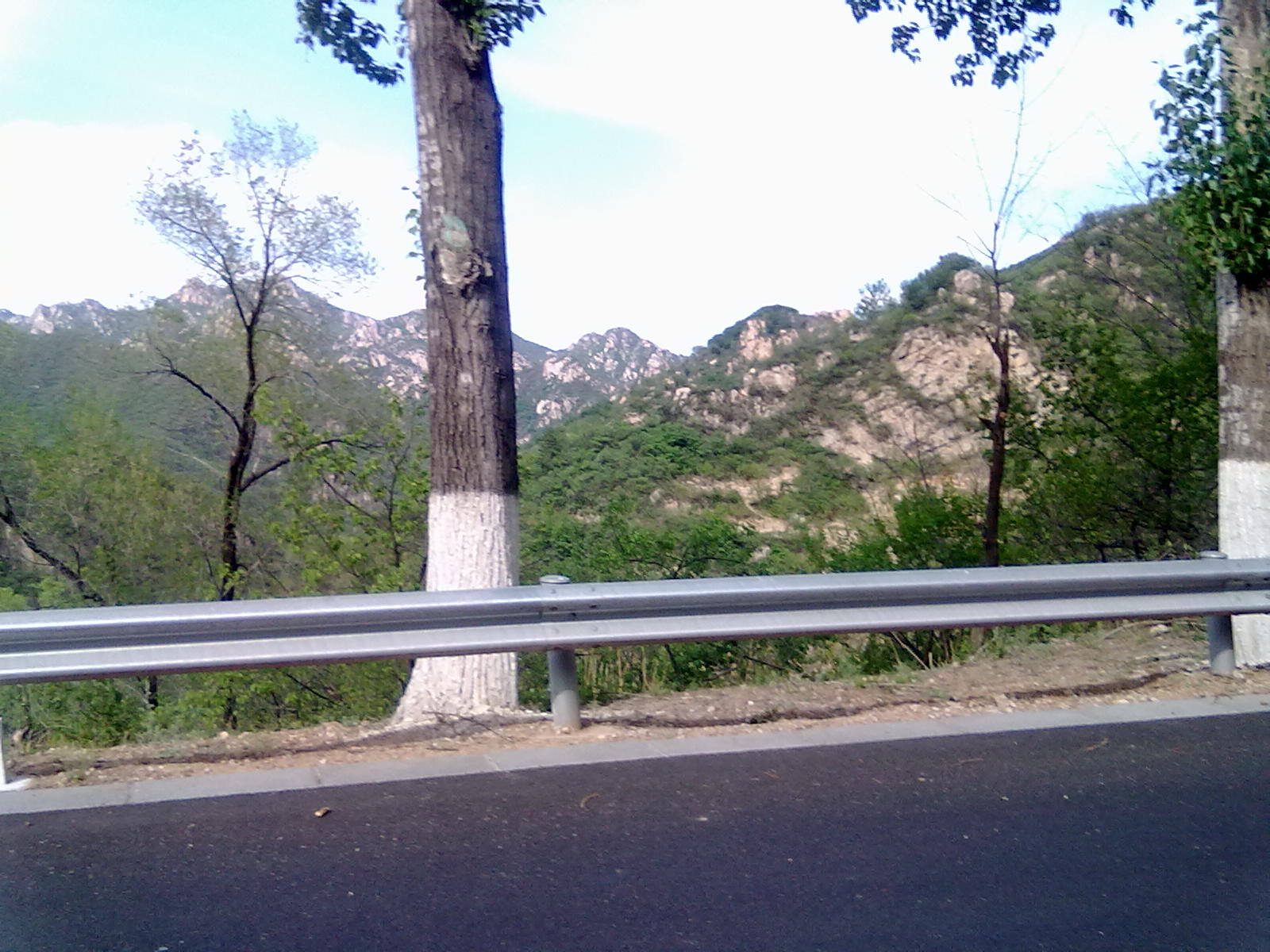 20110514184.jpg