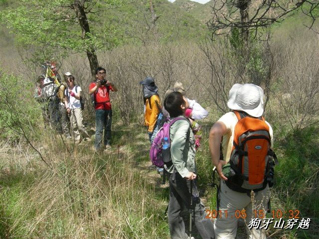 BigBull_110516 狗牙山穿越 021.jpg