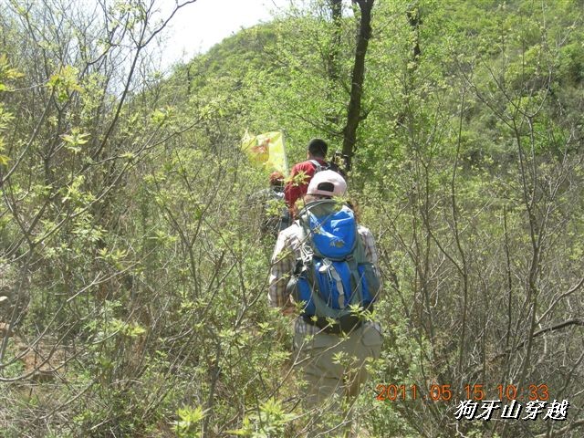 BigBull_110516 狗牙山穿越 024.jpg