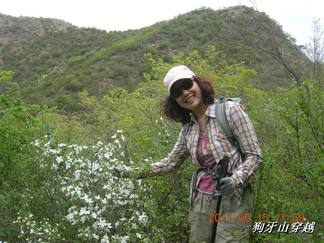 BigBull_110516 狗牙山穿越 054.jpg