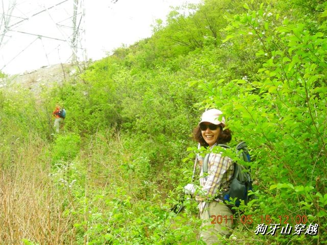 BigBull_110516 狗牙山穿越 056.jpg