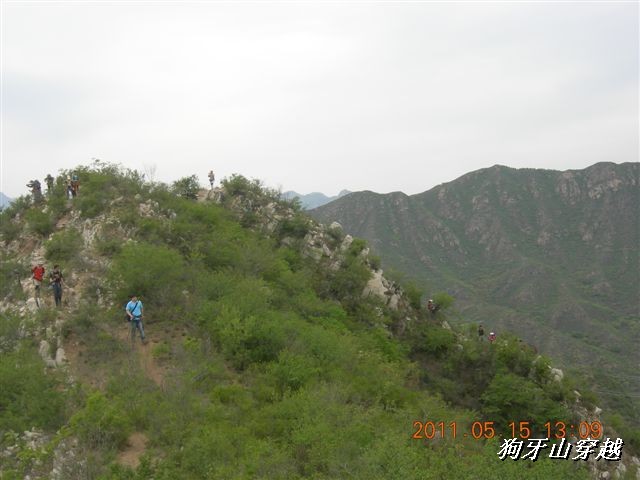 BigBull_110516 狗牙山穿越 068.jpg