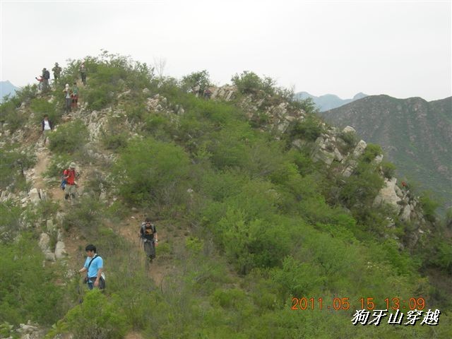 BigBull_110516 狗牙山穿越 069.jpg