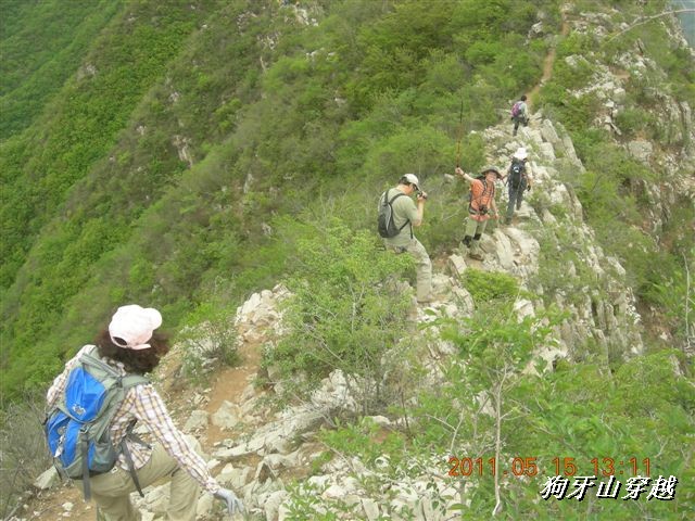 BigBull_110516 狗牙山穿越 072.jpg