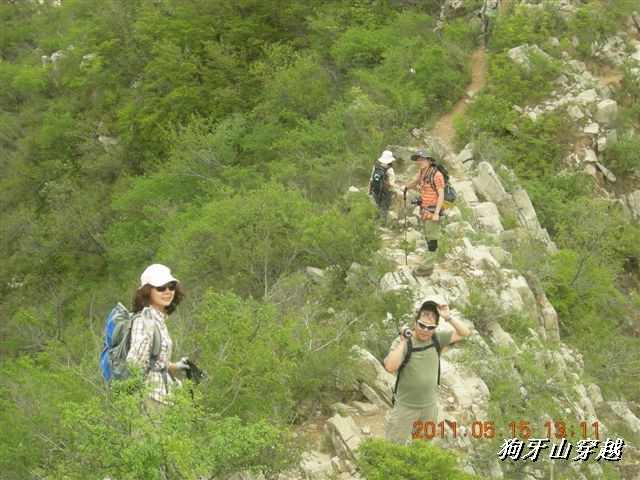 BigBull_110516 狗牙山穿越 073.jpg