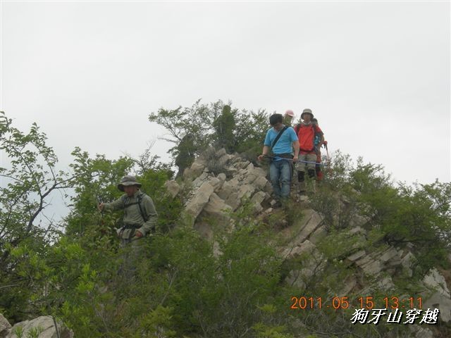 BigBull_110516 狗牙山穿越 074.jpg