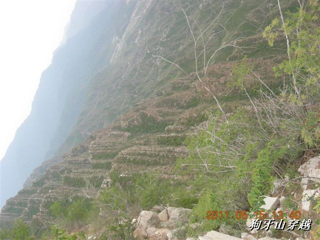 BigBull_110516 狗牙山穿越 102.jpg