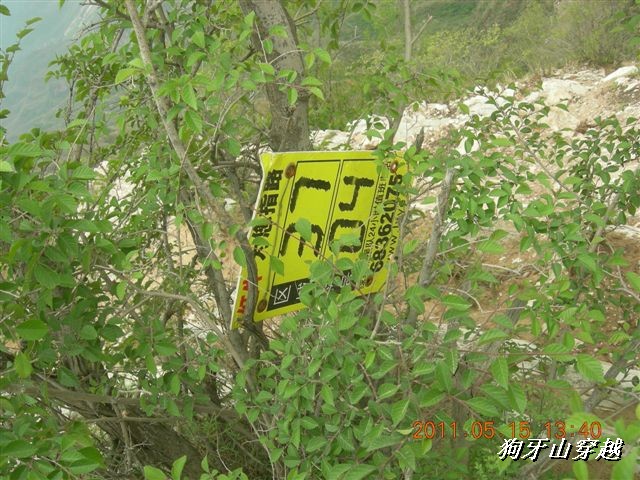 BigBull_110516 狗牙山穿越 103.jpg