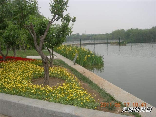 BigBull_110517 11年科技周 002.jpg