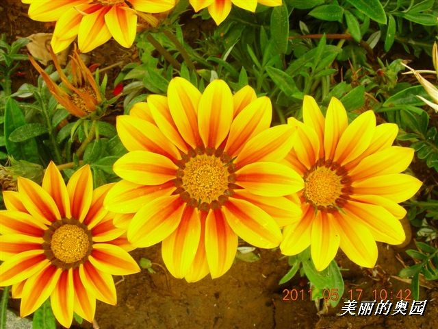 BigBull_110517 11年科技周 008.jpg