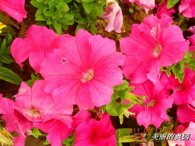 BigBull_110517 11年科技周 009.jpg