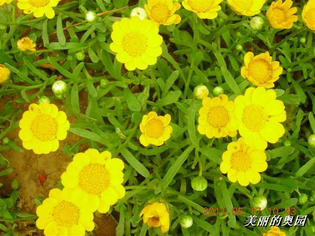 BigBull_110517 11年科技周 010.jpg