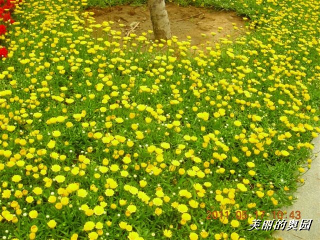 BigBull_110517 11年科技周 011.jpg