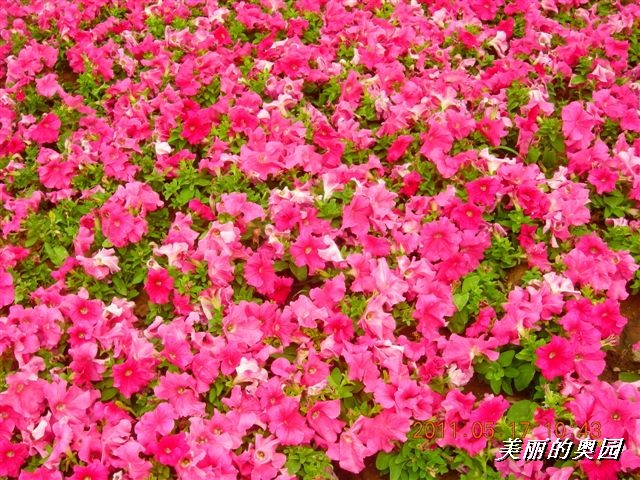 BigBull_110517 11年科技周 012.jpg