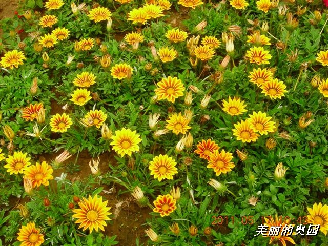 BigBull_110517 11年科技周 013.jpg