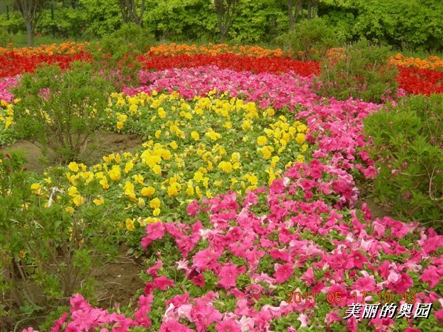 BigBull_110517 11年科技周 014.jpg