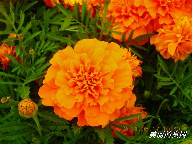 BigBull_110517 11年科技周 015.jpg