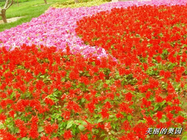 BigBull_110517 11年科技周 017.jpg