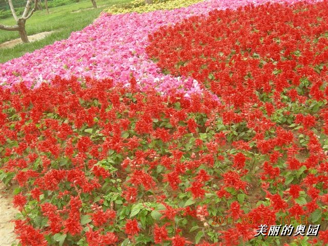 BigBull_110517 11年科技周 018.jpg