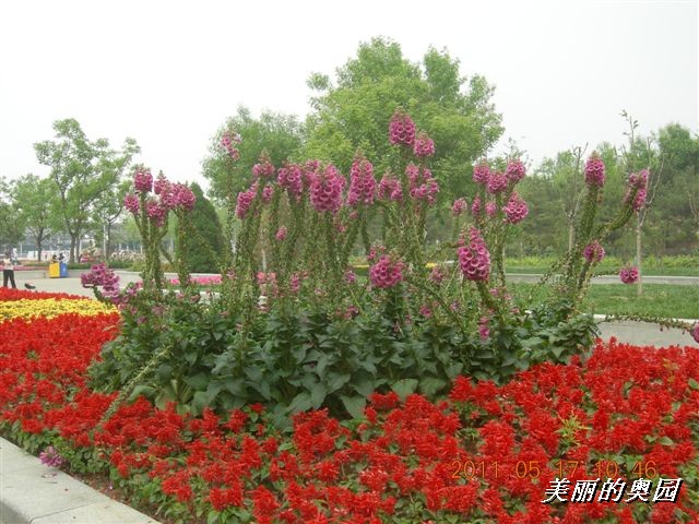 BigBull_110517 11年科技周 019.jpg