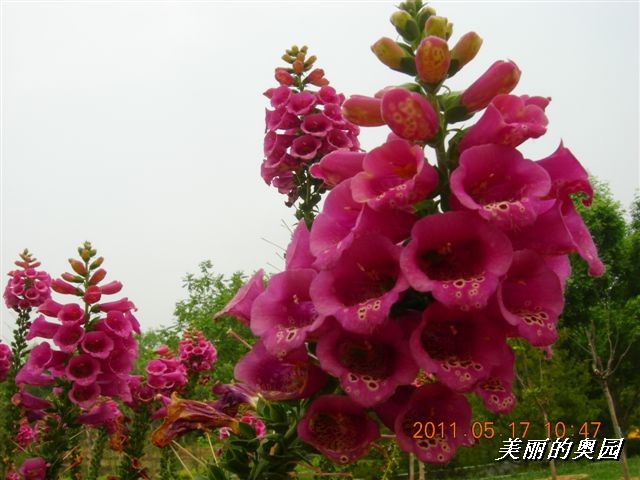 BigBull_110517 11年科技周 021.jpg