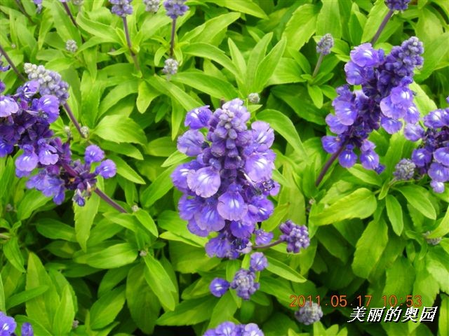 BigBull_110517 11年科技周 026.jpg